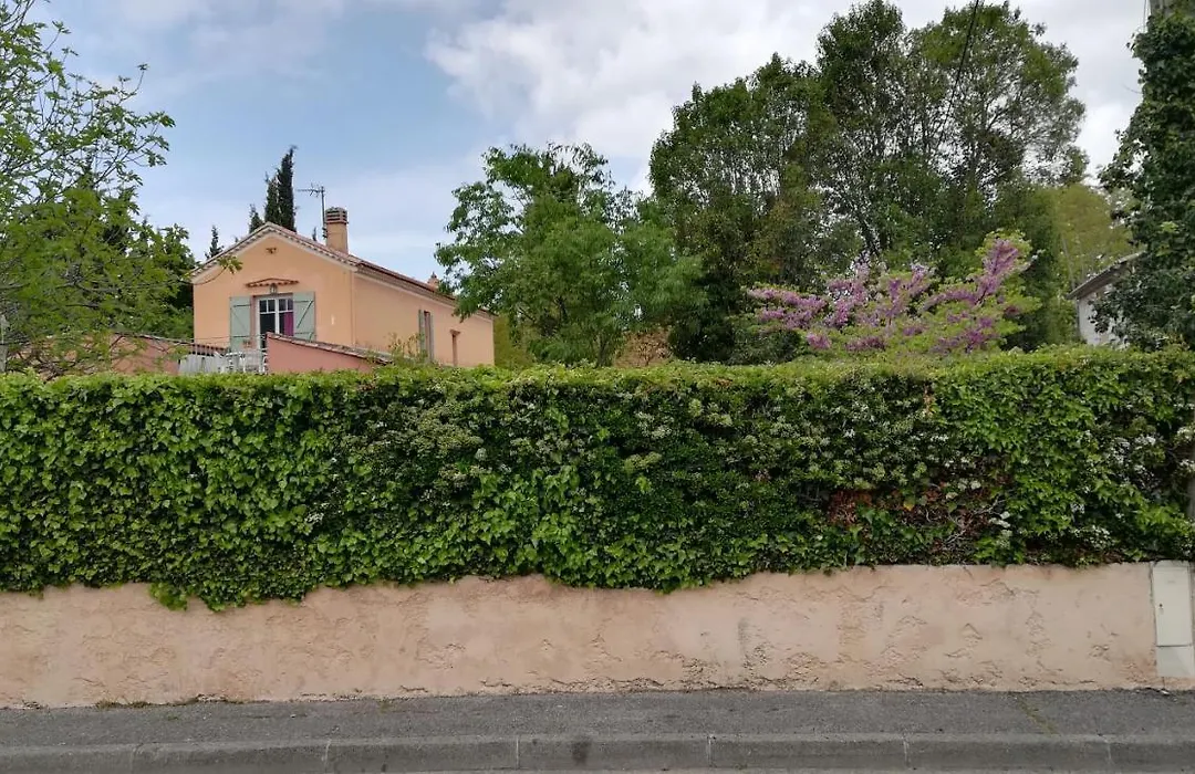 Lolifan En Provence-1